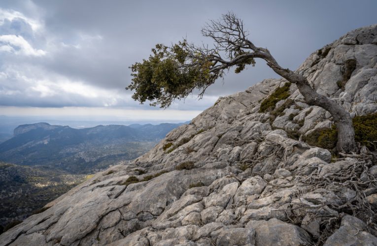 Virginia Beach: The Importance of Resilience in Overcoming Trauma